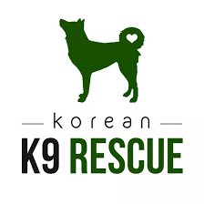 The puppies will be taken to winnipeg where they eventually will be put up for adoption. Pets For Adoption At Korean K9 Rescue In Long Island City Ny Petfinder