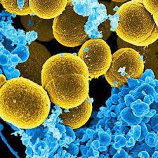 заеды в уголках рта причины и лечение у взрослых Lechenie Ugolkov Rta Pokrasnenie V Ugolkah Gub