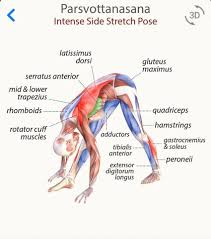 Pin On Asanas