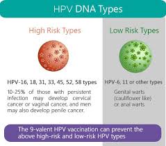 Image result for human papillomavirus symptoms