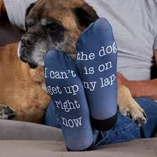 Tell us about your design. Pet Expressions Personalized Adult Socks