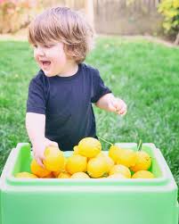 Lemons 4 Sale Farmersmarket Water Table Thesimplay3company Has Been A Lifesaver This Lemons 4 Sale Farmersmarket Harvest Season Water Table Homegrown