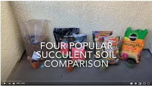 Succulent and cactus soil mix by superfly bonsai. Best Soil And Fertilizer For Cacti And Succulents Succulent Plant Care