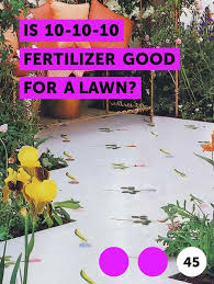 Learn Is 10 10 10 Fertilizer Good For A Lawn How To Guides Tips And Tricks Lawn Care Growing Grass Best Grass Seed