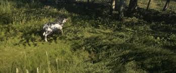 Experience the thrill of the hunt in a visually breathtaking, technically. Thehunter Call Of The Wild Te Awaroa National Park On Steam