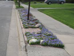 April 2010 Lawn Alternatives Sidewalk Landscaping Front Landscaping