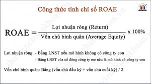 Lợi nhuận trên vốn chủ sở hữu bình quân (ROAE) là gì? - Happy Live