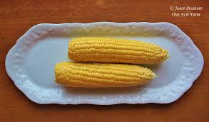 We did not find results for: Growing Corn In Small Spaces 6 Tips