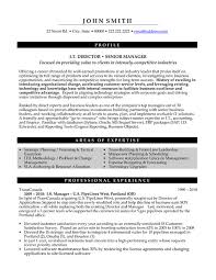 Lack of work experience is the challenge entry level job seekers face in trying to develop an informative and convincing resume. It Director Resume Sample Template