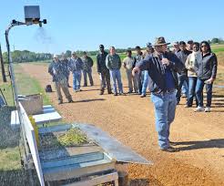 Louisiana wheat crop doing well despite cold, wet winter