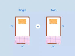 Single Vs Twin Bed Size Mattress What