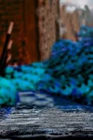 Picsart Editing Hd Background Wallpaper Asian Decoration Picsart Cb Edit Background 394570 Hd Wallpaper Backgrounds Download New sunset editing background images download full hd february 12, 2021 april 5, 2020 by neeraj sharma hey, what's up everyone, hope you are doing well. picsart editing hd background wallpaper
