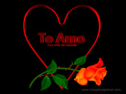 Https Encrypted Tbn0 Gstatic Com Images Q Tbn And9gcq5arzaraz4e8xzqkvqgfokqrhwv3l0nwhtew Usqp Cau
