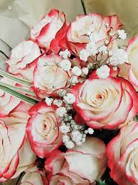 Send grandparents day flowers for grandma and gifts for grandpa to make them smile! Bought My Grandma Some Flowers Just To Be Nice By Elena Gaffoli Photo Stock Snapwire