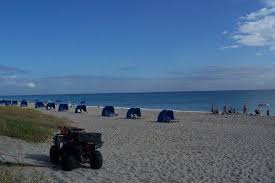 The hike begins from sand dollar beach day use area, located along highway one near plaskett creek campground. These Are The Best Beaches Near Palm Beach West Palm Beach Usa Today 10best