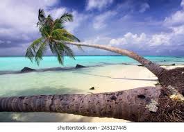 ~ one of the files has the horizontal/landscape photos and the other has the vertical photos. Trends Hunter