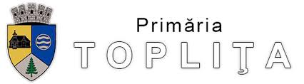 Puteti vedea harta rutiera pentru toplita bucuresti, cluj harta strazilor toplita este disponibila. TopliÈ›a