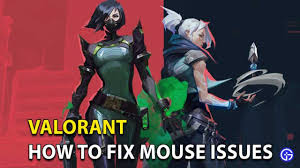 Riot games) with so many people currently playing valorant, it's easy to see how problems can arise from a duality card giveaway. Valorant Mouse Issues Freezing Clicks Not Registering Easy Fix Solution