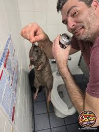 Alissa Brunner's Instagram, Twitter & Facebook