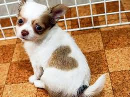 Pin On Other Things I Like