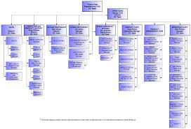 Novagraph Chartist 5 0 Corporate Organization Chart