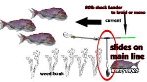 A notable exception was a black marlin weighing 215.2 kg caught. Fishing Rigs How To Tie Running Advanced Sliding Rig Bait Fast Current Not For Land Based Youtube