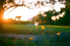 Our list of the best nature pictures & images full hd, their amazing nature pictures and images latest collection. 12 Easy Ways To Improve Your Nature Photography Skills