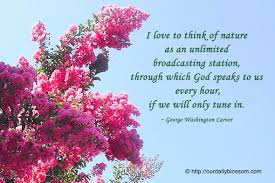 Image result for images god Speaks Through Creation