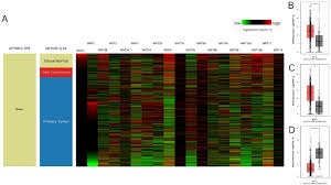 Image result for bioinformatics heatmap