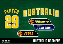 No longer a secondary concern to human progress, environmental impacts now guide social and economic decisions around all horizontal and vertical infrastructure development. Australian Boomers Logo Team Sure Win Sports Uniforms