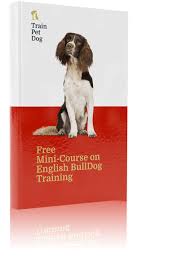 They are a cross between an english springer spaniel and a poodle. English Springer Spaniel Training Personality More