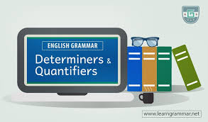 Elementary quiz it´s a basic quiz for students to revise basic grammar and vocabulary such as quantifiers (a, some, any), there is, there. Determiners Quantifiers Learn English