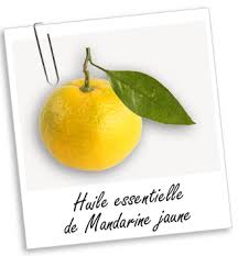 Epingle Sur Aromatherapie