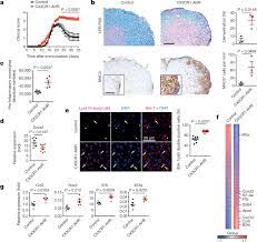 Microglial control of astrocytes in response to microbial metabolites |  Nature