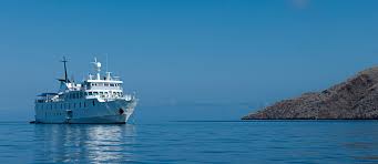 Dear graduating class of 2021 at laurentian university, this group is all yours leading up to the fall 2017 and during your education and as alumni. Galapagos Cruises Best Galapagos Cruise Options In 2021 2022 Voyagers Travel