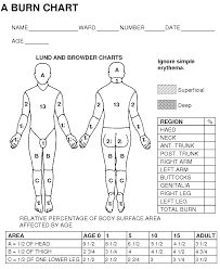 Lund And Browder Chart Explained Lund And Browder Chart