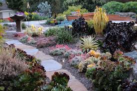 Succulent Gardens Extraordinary Landscapes In San Luis Obispo County Su Succulent Landscape Design Succulent Garden Landscape Contemporary Landscape Design