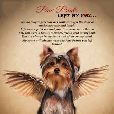 Angel Paw Print Yorkie Plaque Angel Paw Print Yorkie Dogs Yorkie