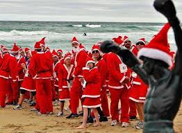 Most families put a big christmas tree in their garden. Christmas In New Zealand And Australia