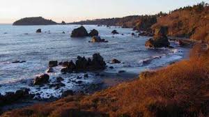 Enjoy and share your favorite beautiful hd wallpapers and background images. Luffenholtz Beach Park