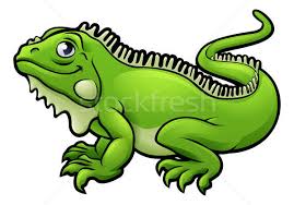 Find & download free graphic resources for cartoon lizard. Iguana Lizard Cartoon Character Vector Illustration C Krisdog 8112742 Stockfresh