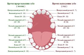 Заболевание представляет собой воспаление десен, которое сопровождается дискомфортом и другими теперь вы знаете, что такое гингивит у детей, его причины, как лечить недуг при прорезывании зубов у малышей, а также какие меры стоит. Rezhutsya Zuby Kak Pomoch Rebenku Lekarstva Pri Prorezyvanii Chem Lechit Oblegchit I Obezbolit Desny Chto Delat Dat I Kak Uspokoit Detej Kogda Oni Silno Plachut