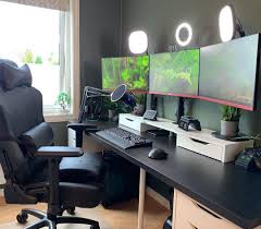Natural Light Streaming Setup Home Office Setup Home Battlestation