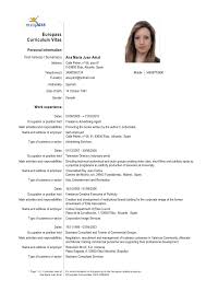 Choose a cv template, fill it out, and download in seconds. Sample Of Cv European Format Communication Skills Cv Examples Europass