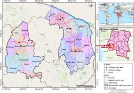 Image result for Millettia eetveldeana