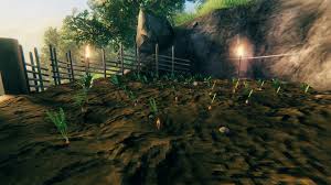 Some premade areas may appear to show raspberries planted in the ground as if they were farmable, and this is not true as there are no raspberry seeds in valheim. Valheim How To Plant Trees And Farm Seeds Slyther Games