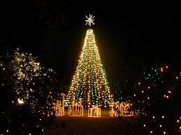 tree3