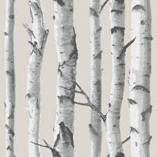 See more ideas about fabric, fabric online, equilter. Nu1650 Grey White Birch Tree Peel Stick Wallpaper The Fabric Co