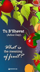 Question What Is The Meaning Of Fruit Answer Fruit Is The Human Part In Us That Grows So That It Ca This Or That Questions Arbour Day Kabbalah