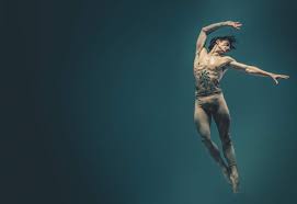 Barely 48 hours passed between a tweet on thursday announcing a coming guest appearance as siegfried in swan lake by mr. The Rebellious Dance Genius Adam The Magazine